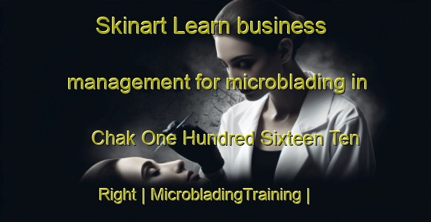 Skinart Learn business management for microblading in Chak One Hundred Sixteen Ten Right | MicrobladingTraining | MicrobladingClasses | SkinartTraining-Pakistan